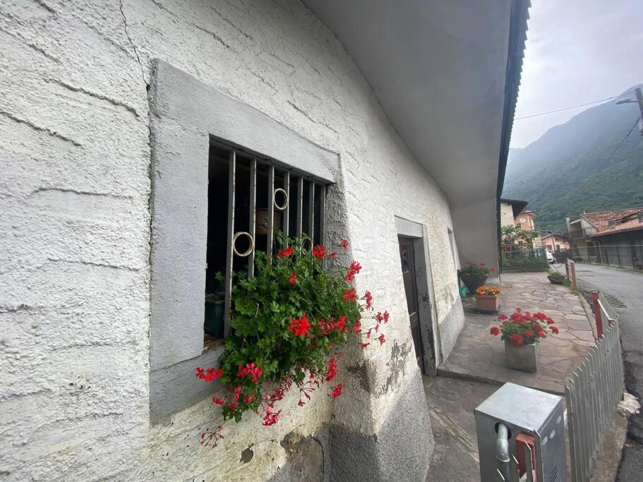 Casa Vacanze Il Pettirosso. Пизоние Екстериор снимка