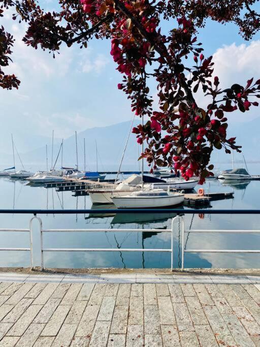 Casa Vacanze Il Pettirosso. Пизоние Екстериор снимка